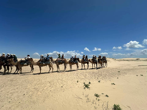 Port Stephens 1-Day Tour