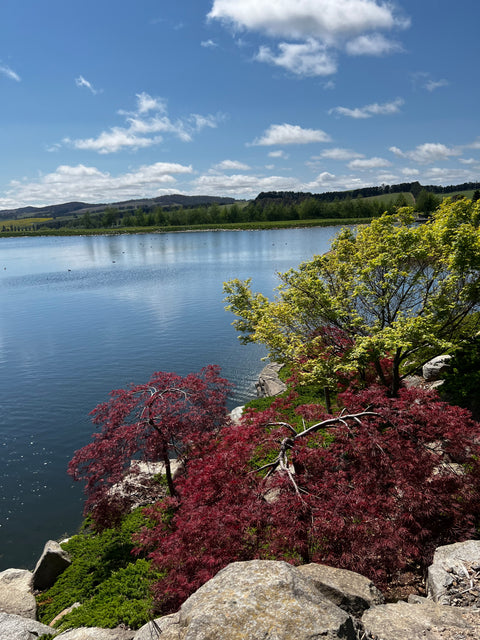 Mayfield Garden 1-Day Tour