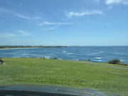 Jervis bay 1-Day Tour