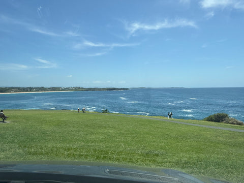 Jervis bay 1-Day Tour