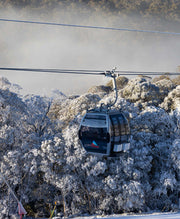1-Day Thredbo Snow Tour