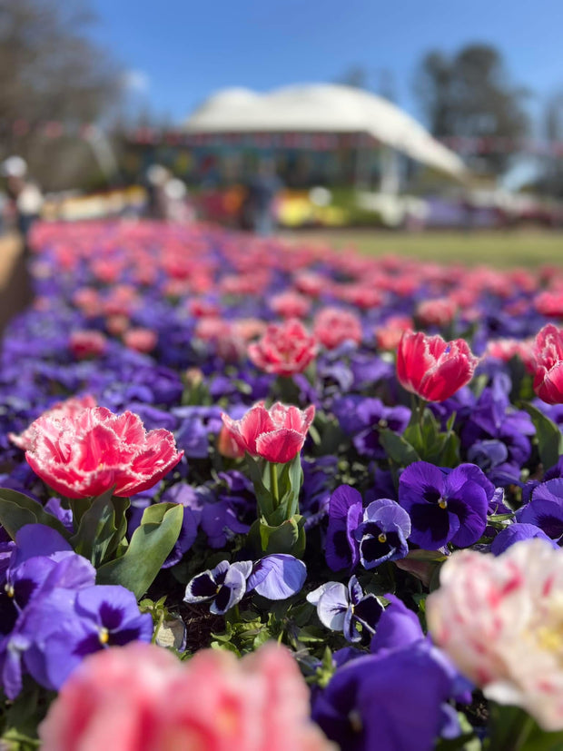 FLORIADE 2025 Day Tour